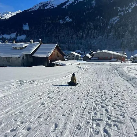 Ari In * Wald am Arlberg